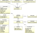OJ Break Data Model - Agent.png